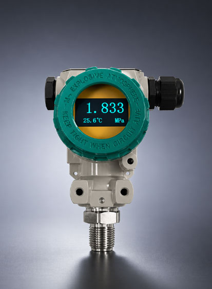 Combined Digital Temperature & Pressure Gauge HT-P05-T100 | Hangtech India