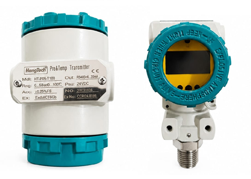 Combined Digital Temperature & Pressure Gauge HT-P05-T100 | Hangtech India